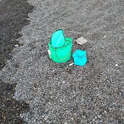 アオリイカ1杯（1.5キロ）確保です!!