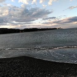 サーフでも　ガシラできました!!