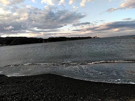 サーフでも　ガシラできました!!