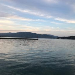 アジング釣れない