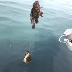 初釣行で釣り場調査