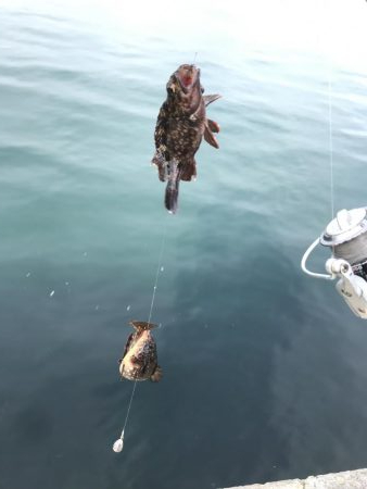 初釣行で釣り場調査