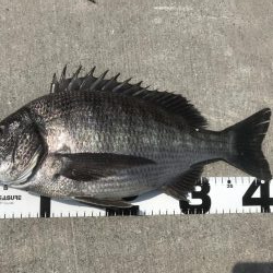 イチノ兄弟、釣果！