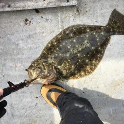 初日本海ジギング