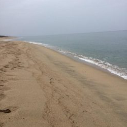 海サクラマスヒット!