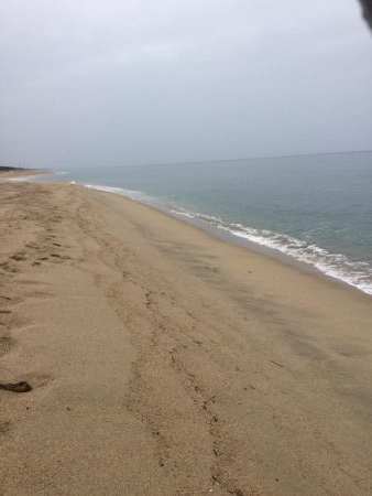 海サクラマスヒット!