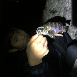 ジグヘッド青虫