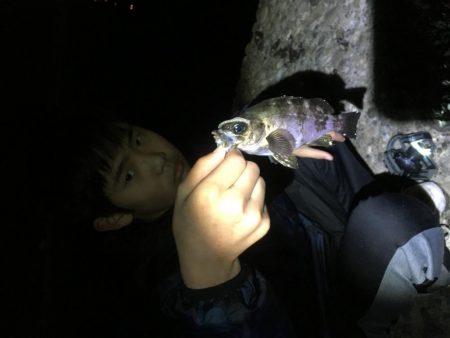 ジグヘッド青虫