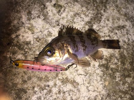 雨にも負けず！