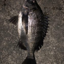 イチノ兄弟、釣果!