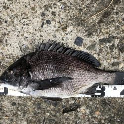 イチノ兄弟、釣果!