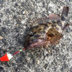 出張先の楽しみ②