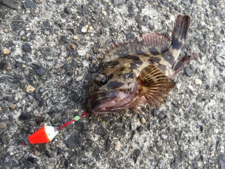 出張先の楽しみ②