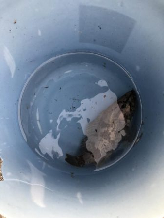 久しぶりの根魚