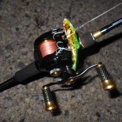 モルビド24がベストマッチ。