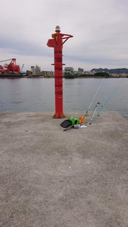 平成最後の淡路島の釣り