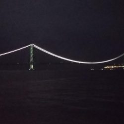 満月ライトゲーム