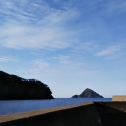 ようやく春が来た