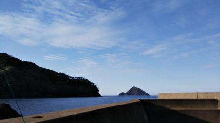 ようやく春が来た