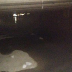 ナイトルアーフィッシング シーバス