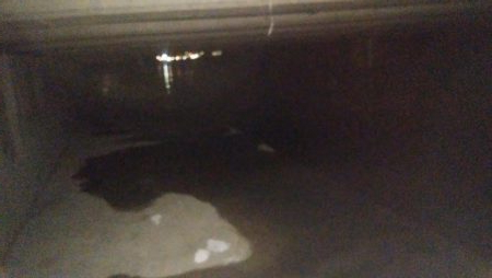 ナイトルアーフィッシング シーバス