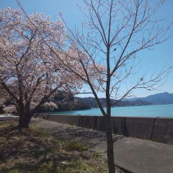 清々しい(キヨキヨしい)