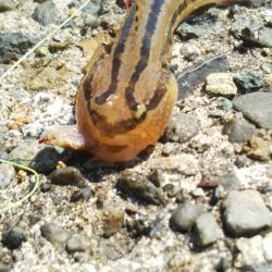 マイクロでも楽しいオールスター五目釣り♪