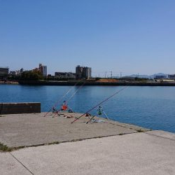 平成最後の淡路島釣行