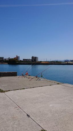 平成最後の淡路島釣行