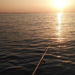 貝塚人工島でメバリング