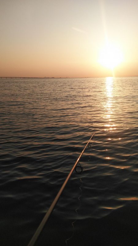 貝塚人工島でメバリング