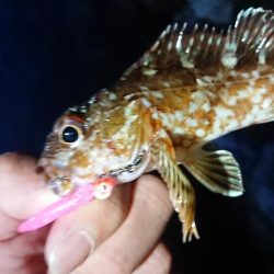 仕事終わりメバリング