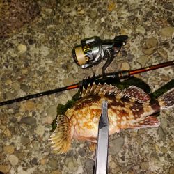 好状況ながら渋い