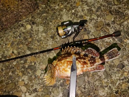 好状況ながら渋い