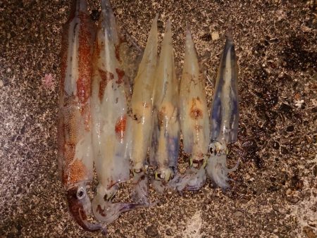 渋い中そこそこ