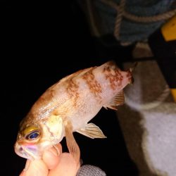 爆風の中さすがに厳しい