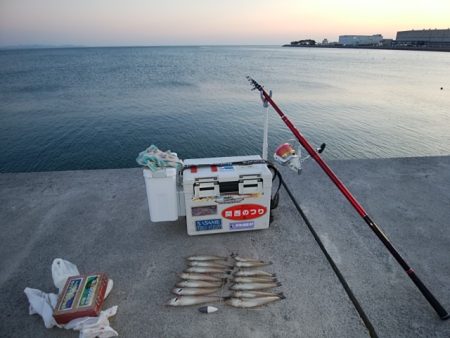 東二見白灯台波止へキス釣査