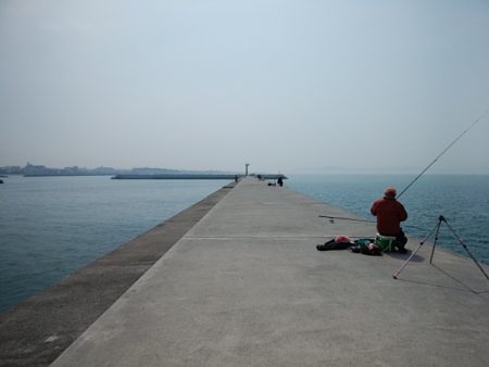 東二見白灯台波止のキス情報