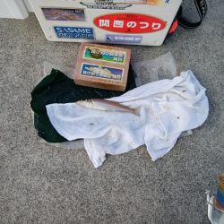 東二見白灯台のキス情報