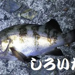 ガッシーに癒されました。