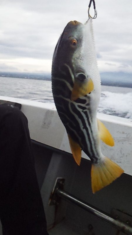 ネチネチネギング