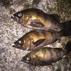 フロートメバリング