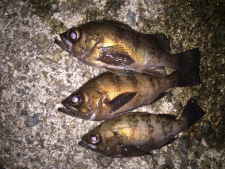 フロートメバリング