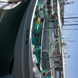 泉州丸さんでメガガシラ