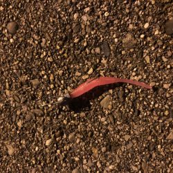 17日夜のべた凪で