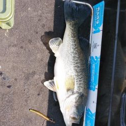 春休みちょい爆