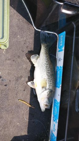 春休みちょい爆