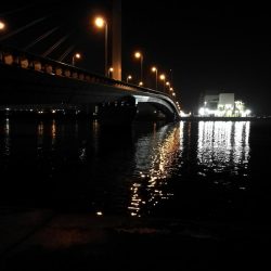 南港カモメ大橋ヘチ釣行 (南港 4月中旬~ 根魚 釣果有り)