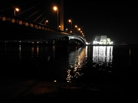 南港カモメ大橋ヘチ釣行 (南港 4月中旬~ 根魚 釣果有り)
