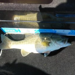 引き続きちょい爆